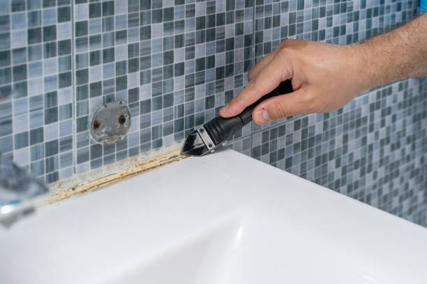 Best Best Mold Removal Companies  in Broadview, IL