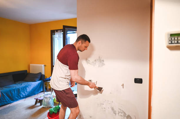 Best Affordable Mold Removal  in Broadview, IL